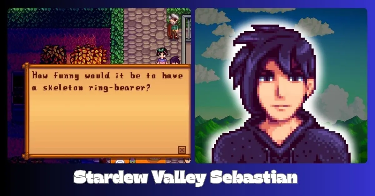 Stardew Valley Sebastian