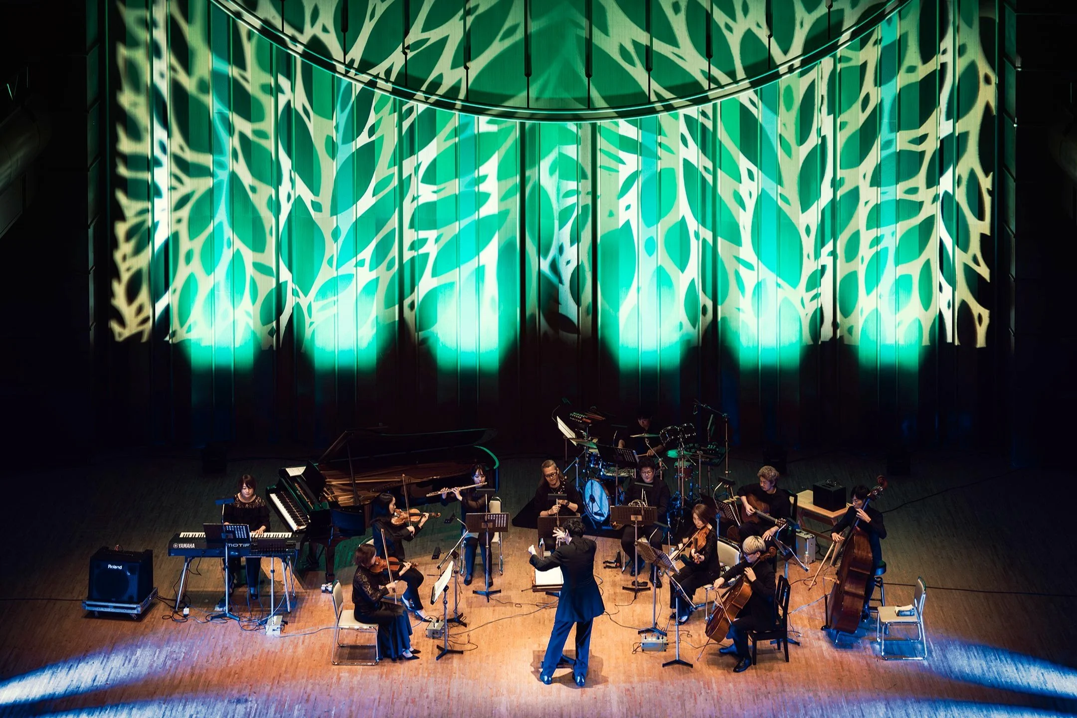 Stardew Valley Live Concert