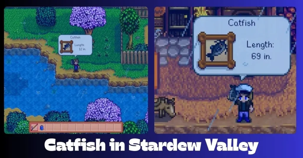 Catfish in Stardew Valley