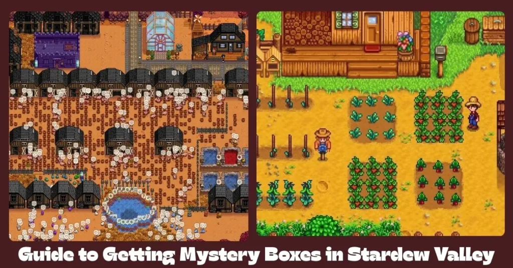 Guide to Getting Mystery Boxes in Stardew Valley