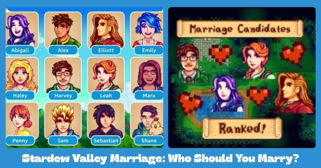 Stardew Valley who to marry