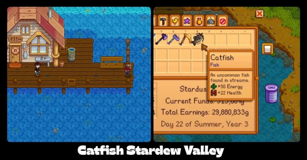 Catfish Stardew Valley