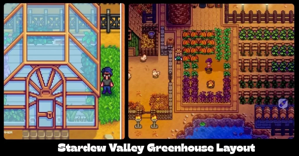 Stardew Valley Greenhouse Layout